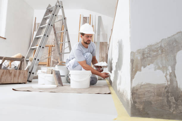 Best Mold Odor Removal Services  in Coker, AL